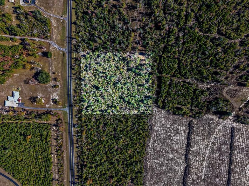 For Sale: $54,999 (5.00 acres)