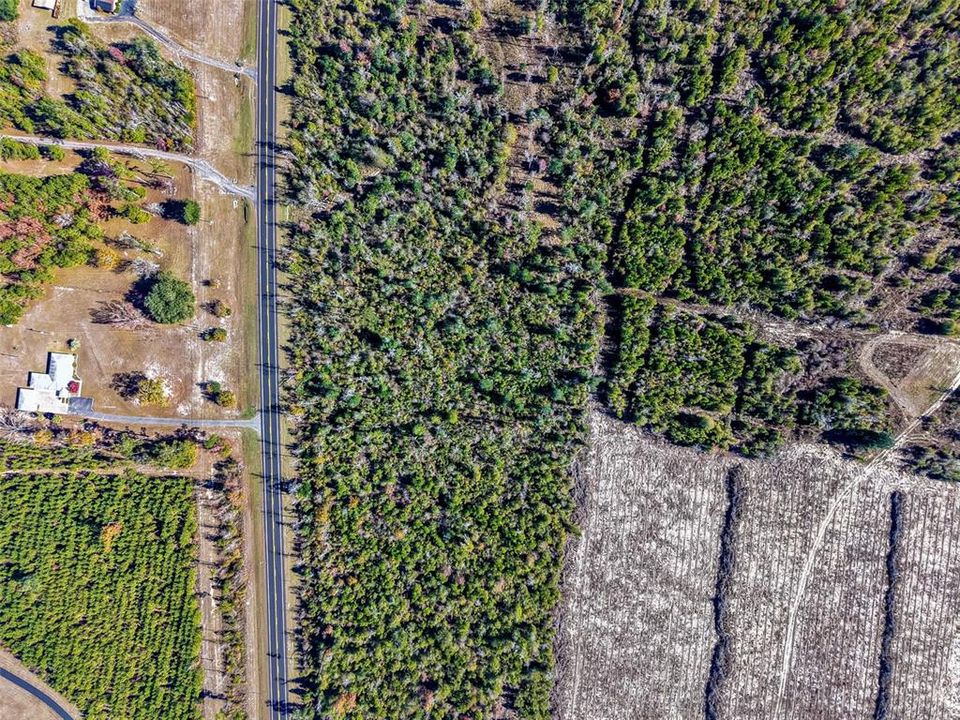 For Sale: $54,999 (5.00 acres)