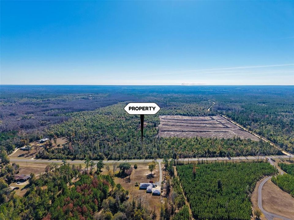 For Sale: $54,999 (5.00 acres)