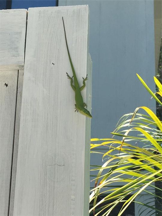 待售: $629,000 (2 贝兹, 2 浴室, 1200 平方英尺)