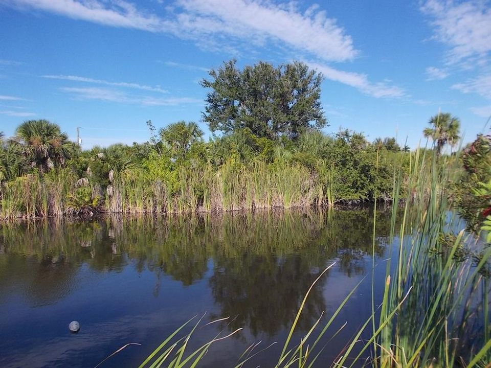 For Sale: $85,000 (0.26 acres)