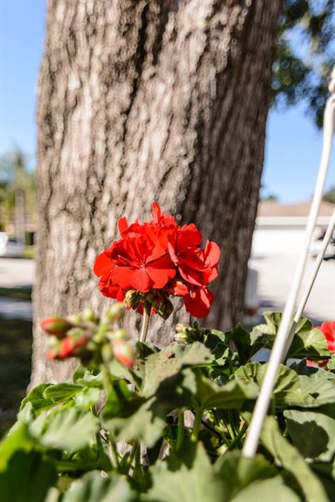 待售: $765,000 (4 贝兹, 2 浴室, 2623 平方英尺)