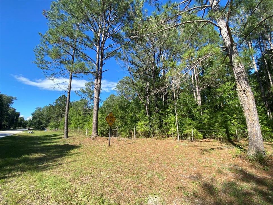 待售: $64,900 (2.05 acres)