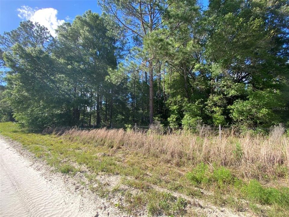 待售: $64,900 (2.05 acres)