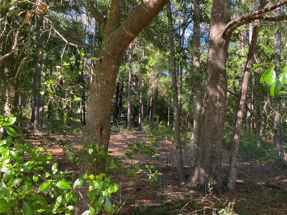 待售: $64,900 (2.05 acres)