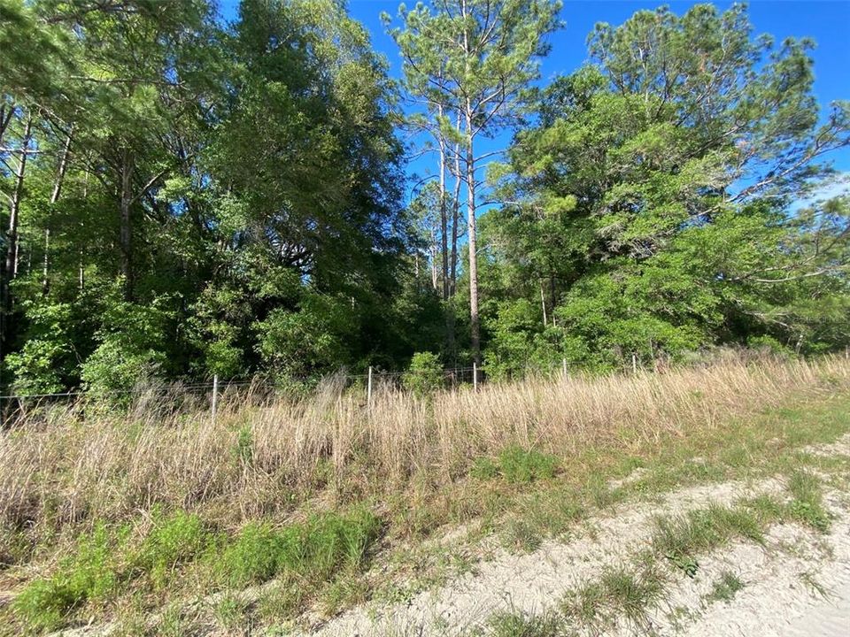 待售: $64,900 (2.05 acres)