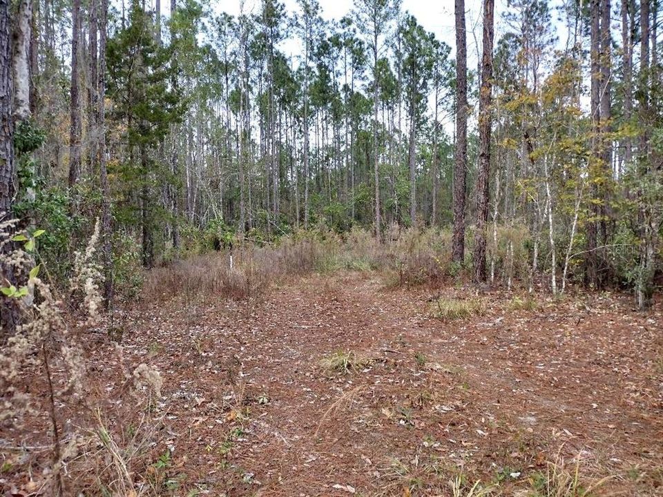En Venta: $84,900 (2.27 acres)