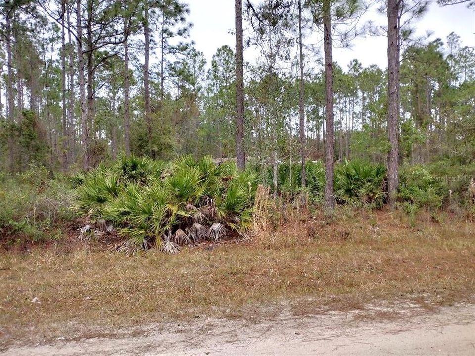 En Venta: $84,900 (2.27 acres)