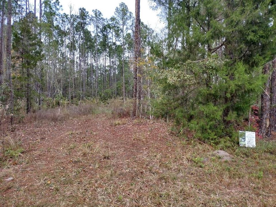 En Venta: $84,900 (2.27 acres)