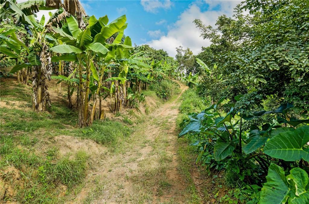 待售: $750,000 (34.00 acres)