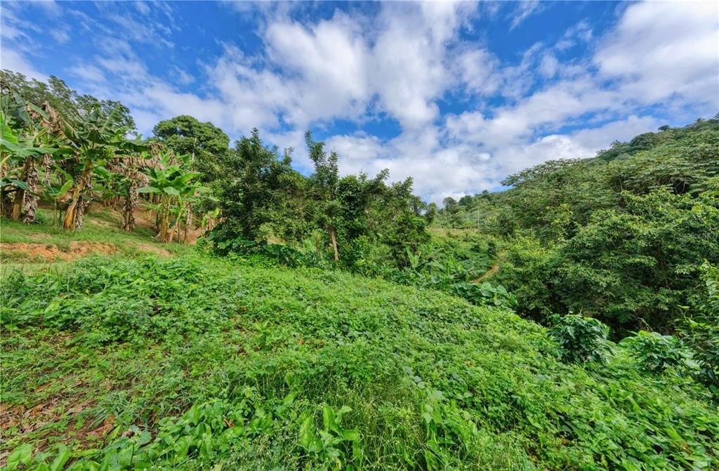 待售: $750,000 (34.00 acres)