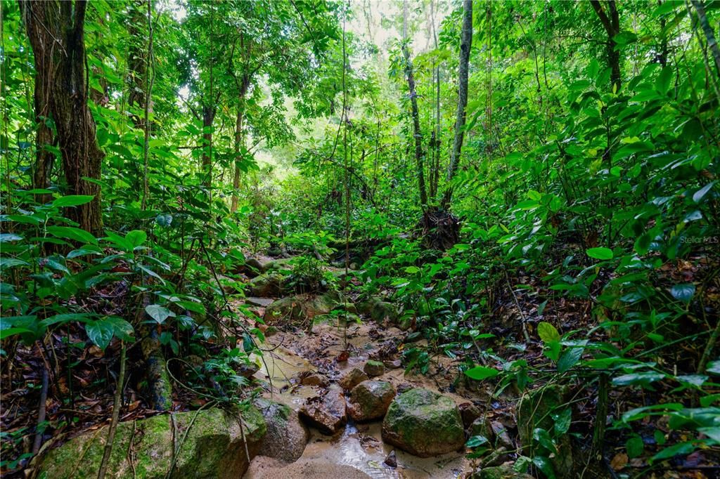 待售: $750,000 (34.00 acres)