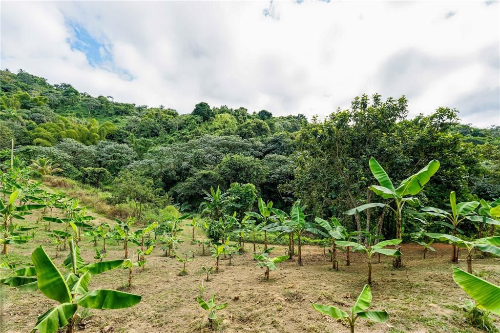 待售: $750,000 (34.00 acres)