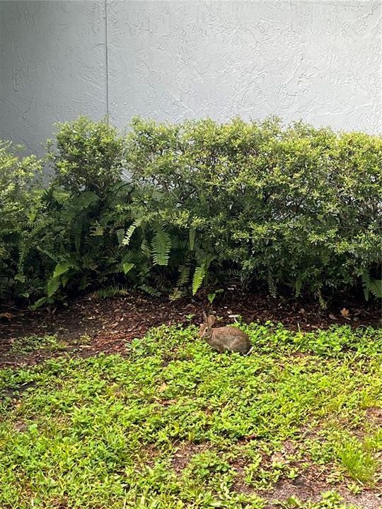 En Venta: $339,999 (3 camas, 2 baños, 1796 Pies cuadrados)