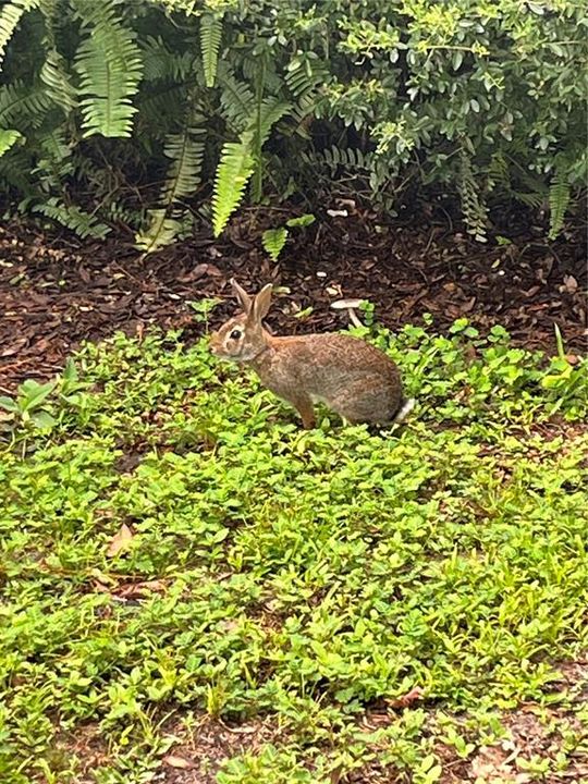 En Venta: $339,999 (3 camas, 2 baños, 1796 Pies cuadrados)