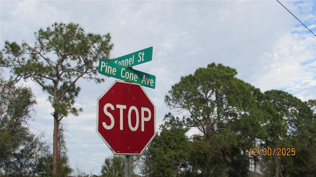 На продажу: $59,000 (1.25 acres)