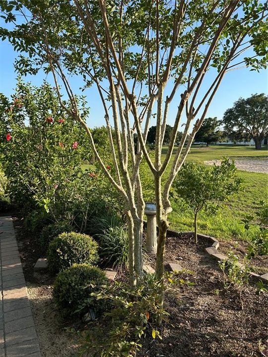 For Sale: $449,000 (2 beds, 2 baths, 1437 Square Feet)