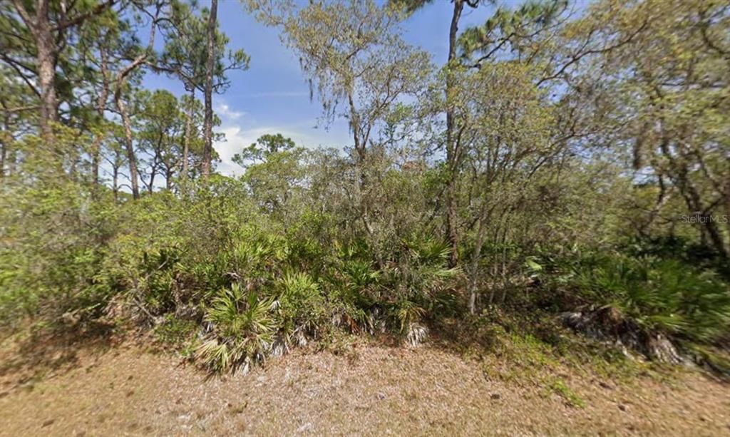 En Venta: $20,000 (0.34 acres)