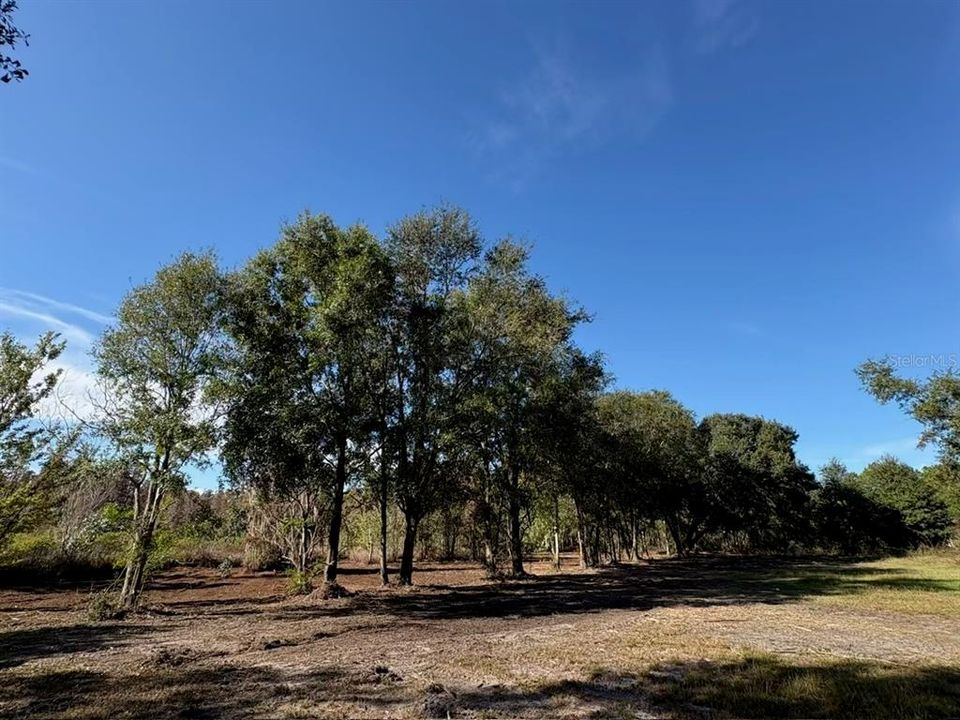 En Venta: $79,950 (2.28 acres)