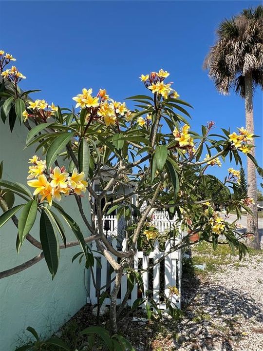 На продажу: $449,000 (2 спален, 2 ванн, 952 Квадратных фут)