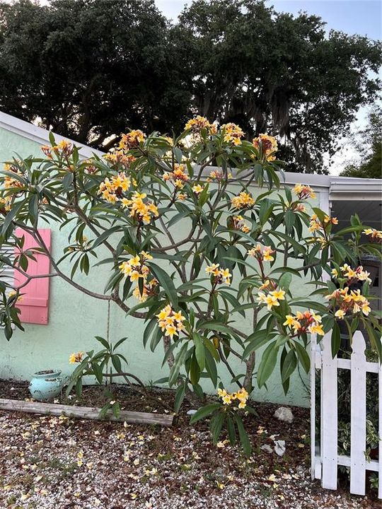 На продажу: $449,000 (2 спален, 2 ванн, 952 Квадратных фут)