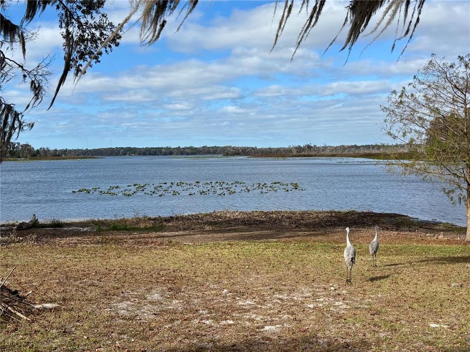 На продажу: $89,500 (1.00 acres)