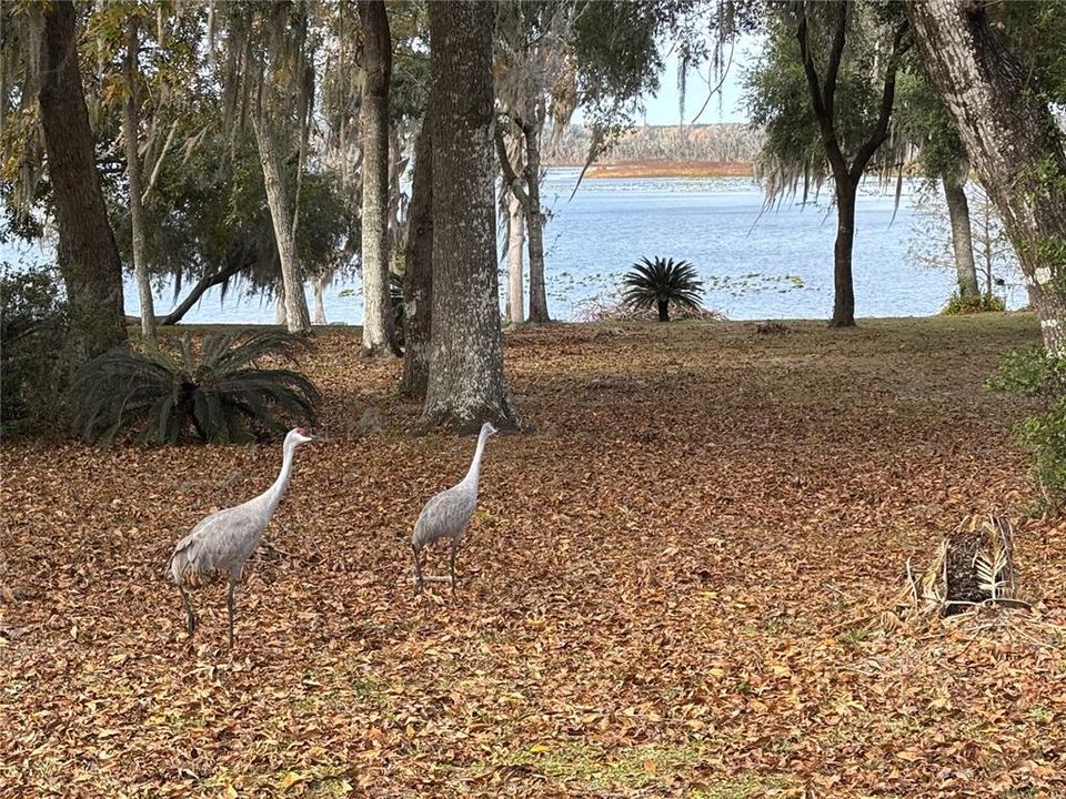 На продажу: $89,500 (1.00 acres)