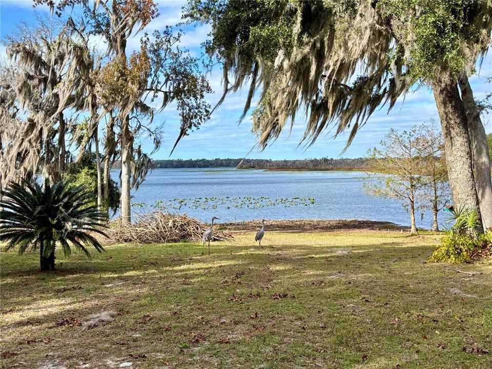 На продажу: $89,500 (1.00 acres)