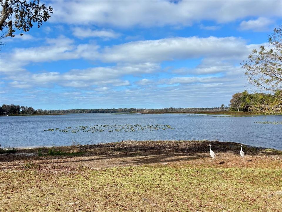 На продажу: $89,500 (1.00 acres)