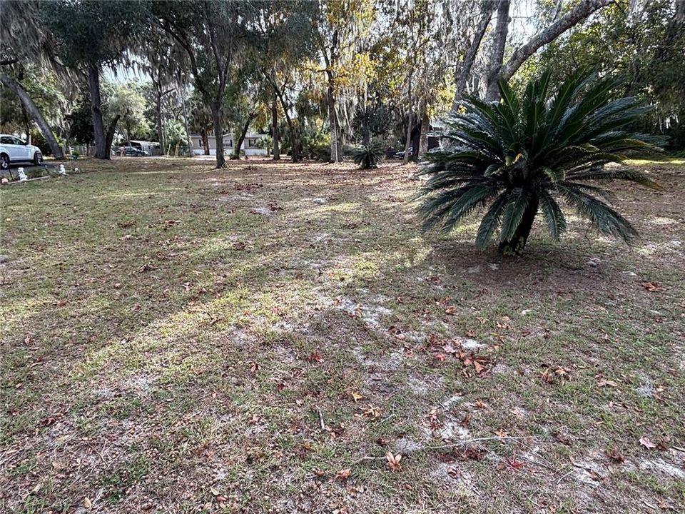 На продажу: $89,500 (1.00 acres)