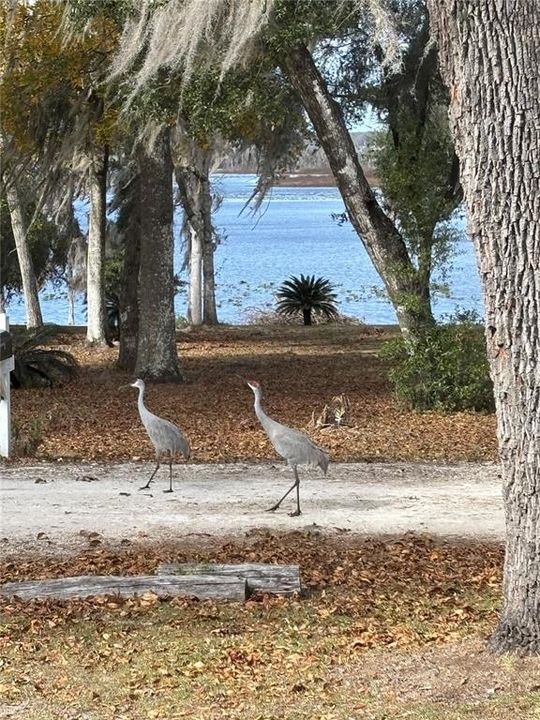 На продажу: $89,500 (1.00 acres)