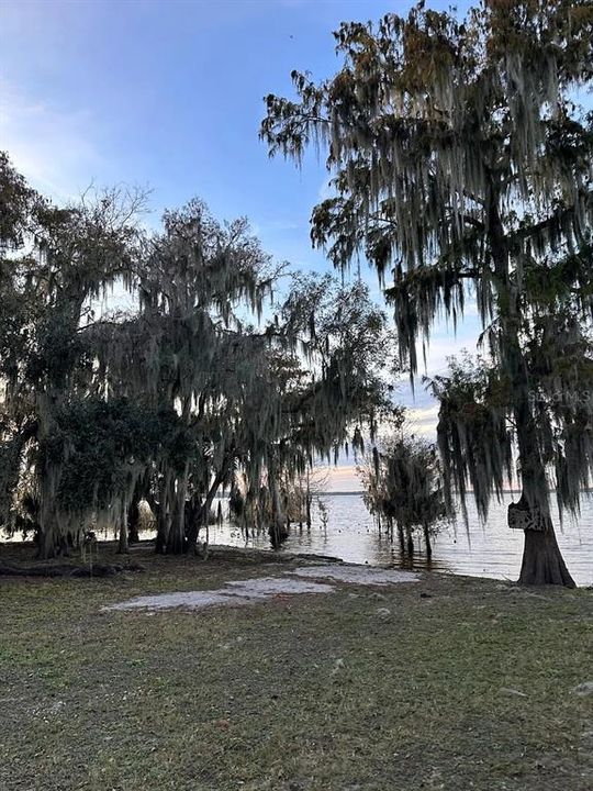 В аренду: $1,595 (2 спален, 1 ванн, 672 Квадратных фут)