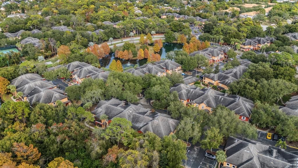 待售: $379,900 (3 贝兹, 2 浴室, 1430 平方英尺)