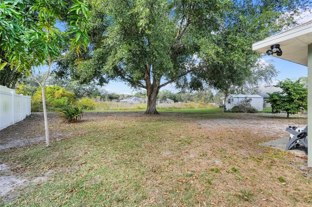 For Sale: $300,000 (3 beds, 2 baths, 1435 Square Feet)