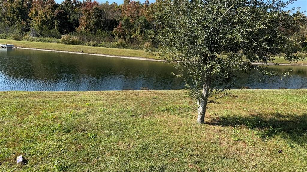 待售: $330,000 (3 贝兹, 2 浴室, 1303 平方英尺)