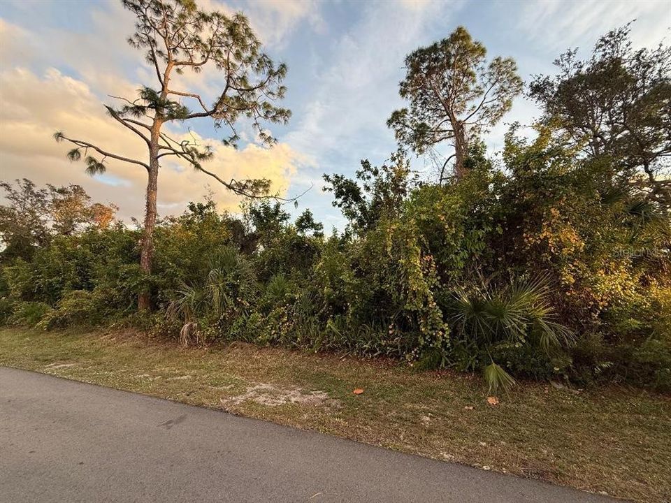 На продажу: $102,000 (0.18 acres)