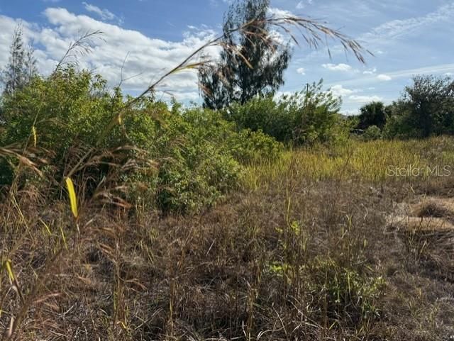 For Sale: $39,900 (0.23 acres)