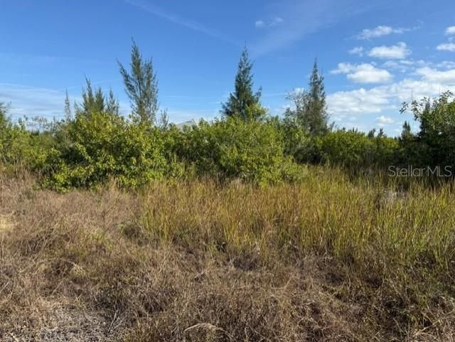 For Sale: $39,900 (0.23 acres)