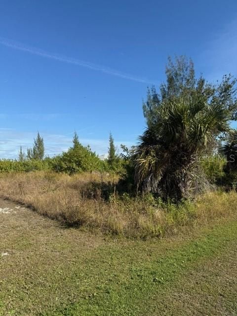 For Sale: $39,900 (0.23 acres)