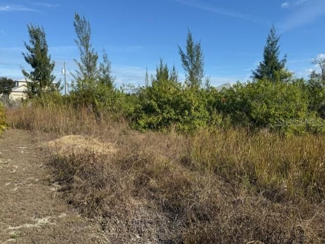 For Sale: $39,900 (0.23 acres)