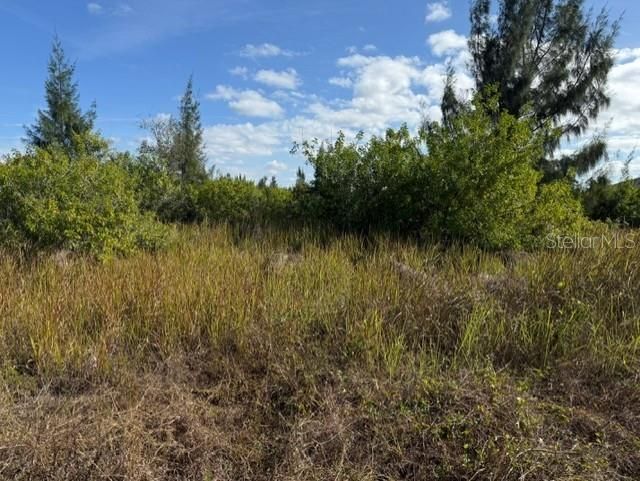 For Sale: $39,900 (0.23 acres)