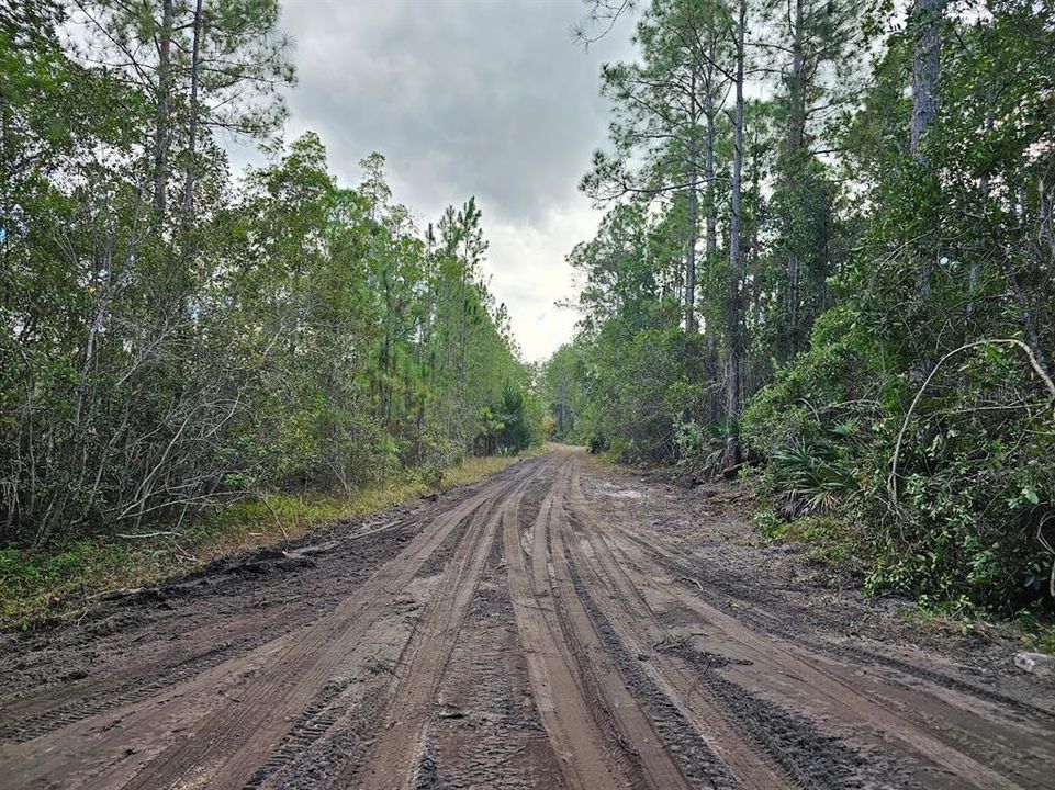 En Venta: $279,000 (10.01 acres)