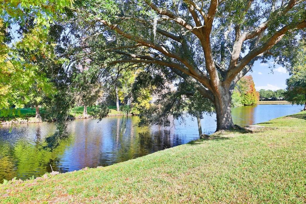 En Venta: $629,000 (4 camas, 2 baños, 2136 Pies cuadrados)