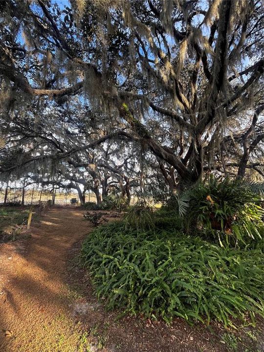 For Sale: $995,000 (3 beds, 2 baths, 1664 Square Feet)