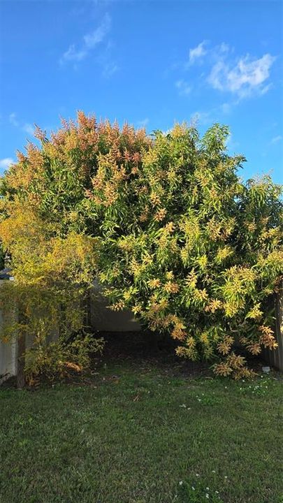 Под контрактом: $429,900 (4 спален, 2 ванн, 2230 Квадратных фут)