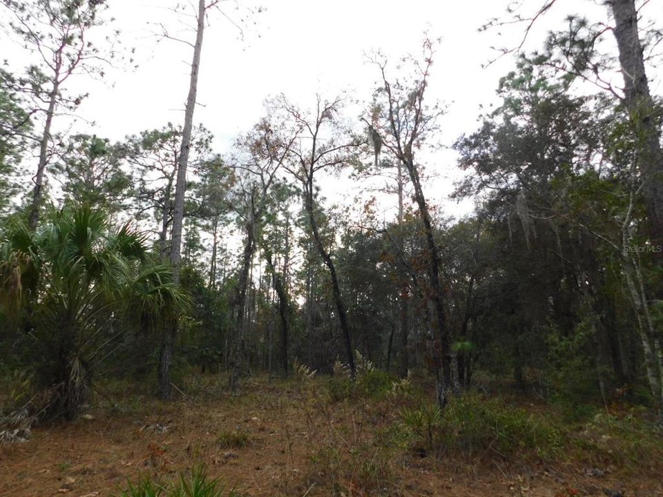 En Venta: $135,000 (5.07 acres)