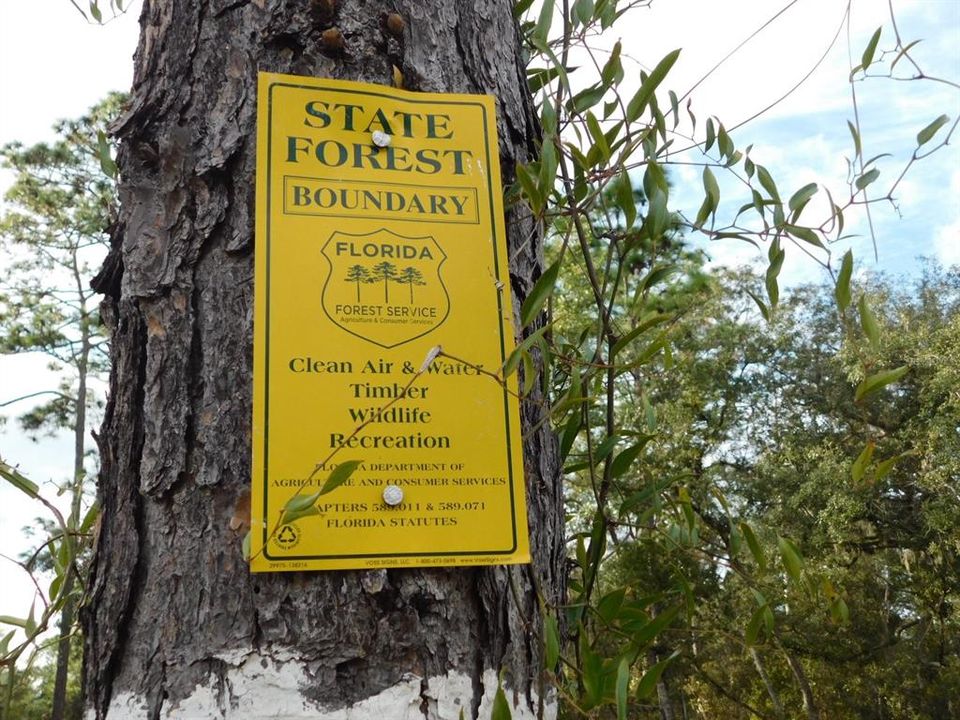 En Venta: $135,000 (5.07 acres)