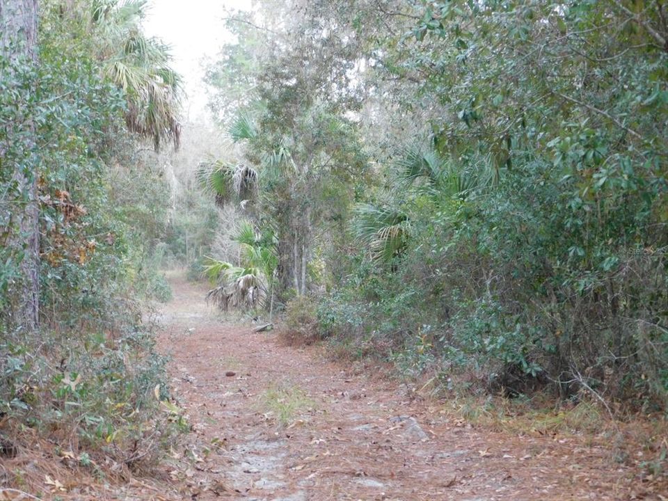 En Venta: $135,000 (5.07 acres)