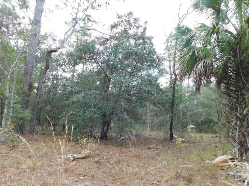 En Venta: $135,000 (5.07 acres)