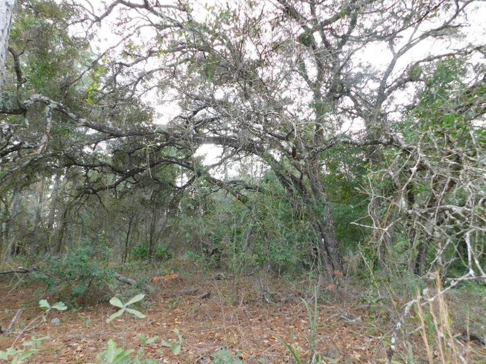 En Venta: $135,000 (5.07 acres)